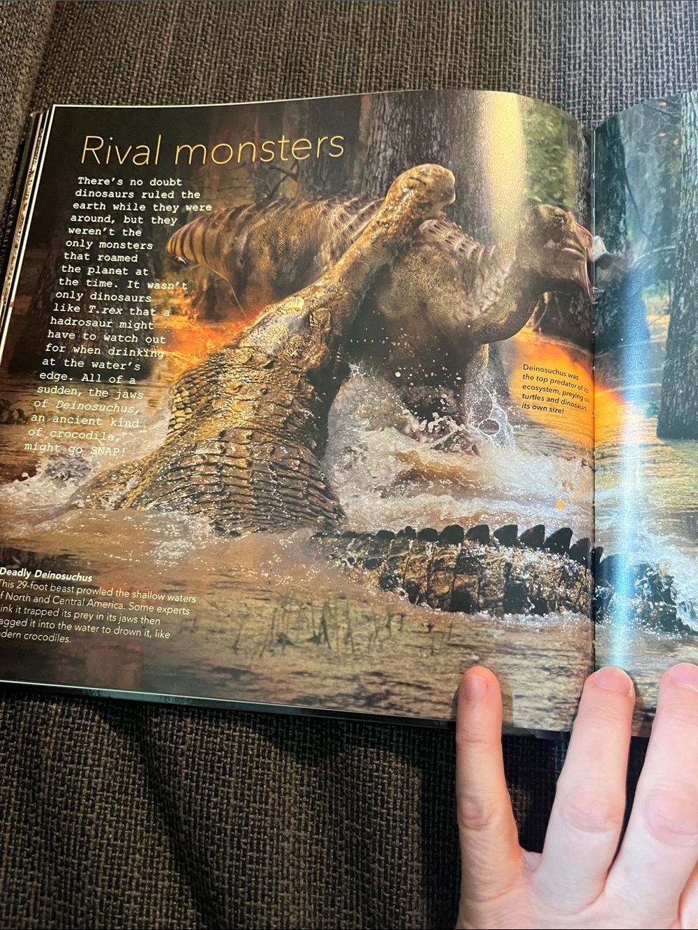 Scholastic Dinosaur Face Off! Book action packed with photos on every page - Picture 10 of 12